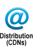 Professional Online Video Distribution (CDNs)